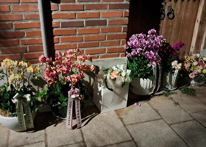 Gasthuis Hanok Nuha